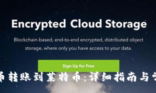 :
如何将比特币转账到莱特币：详细指南与常见问题解答