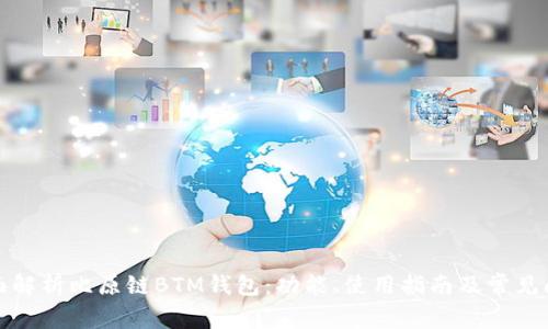 全面解析比原链BTM钱包：功能、使用指南及常见问题