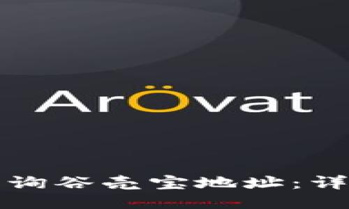 如何查询谷壳宝地址：详细指南