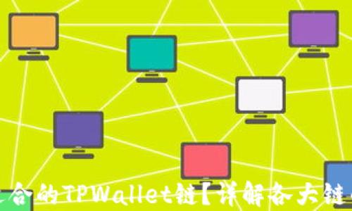 
如何选择最适合的TPWallet链？详解各大链的特点与优势